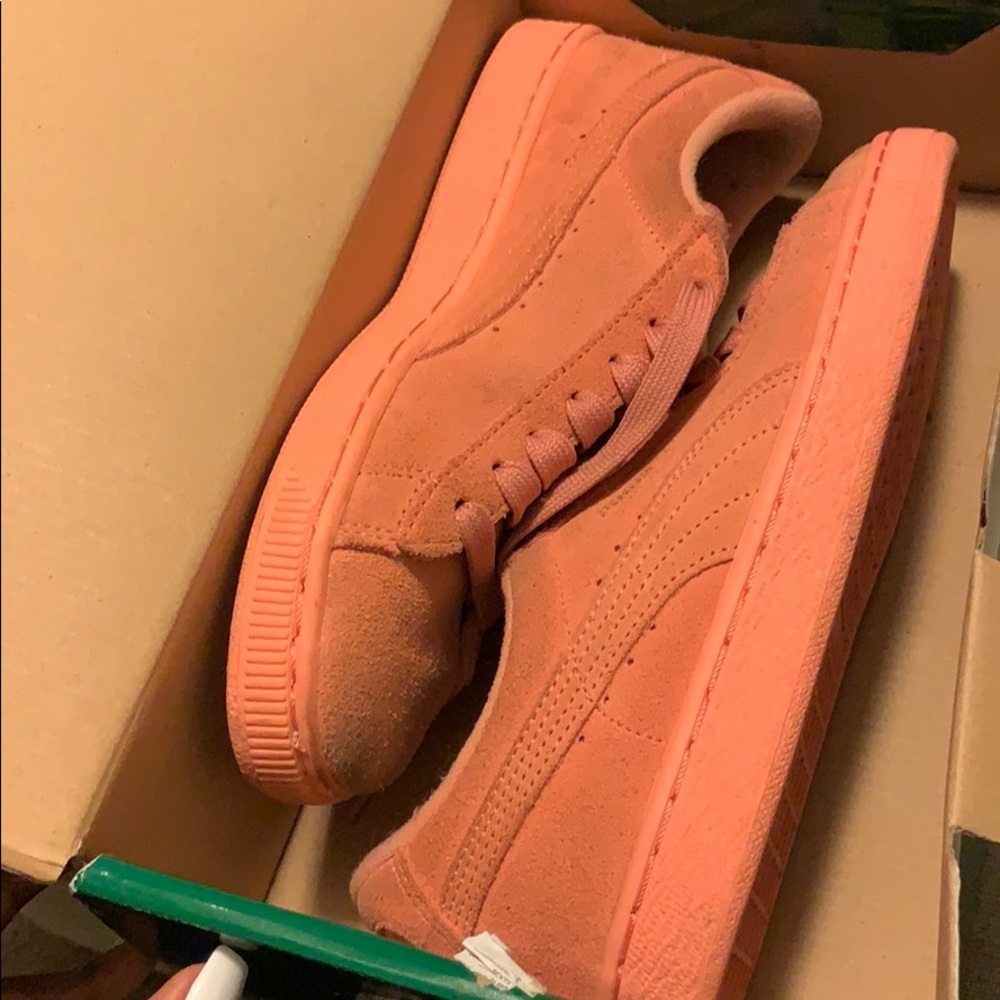 Pumas